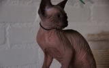 DSC01542.JPG
