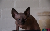 DSC01543.JPG