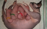 DSC01566.JPG