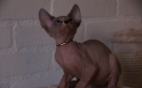 DSC01574.JPG