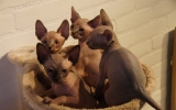 DSC01612.JPG