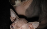 DSC01807.JPG