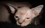 DSC01813.JPG