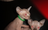 DSC01815.JPG