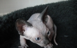 DSC01898.JPG