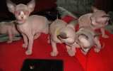 DSC03411.JPG