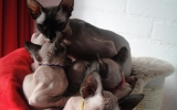 DSC03705.JPG