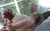 DSC05352_resize.JPG