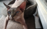 DSC05374_resize.JPG