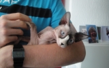 DSC05462.JPG