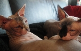 DSC05483_resize.JPG