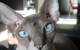 DSC05513_resize.JPG