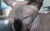 DSC05524_resize.JPG