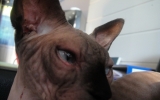 DSC05538_resize.JPG