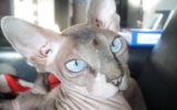 DSC05540_resize.JPG