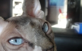 DSC05543_resize.JPG