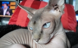 DSC05548_resize.JPG