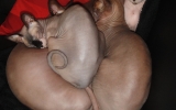 DSC05580_resize.JPG