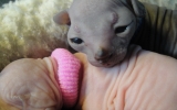 DSC05862_resize.JPG