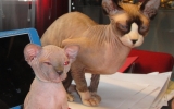 Sui met babyzusje Mushi