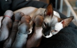 DSC06394_resize.JPG