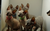 DSC06702_resize.JPG
