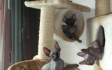 DSCF5006.JPG