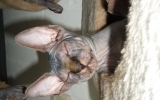 DSCF5008.JPG