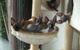 DSCF5014.JPG
