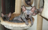 DSCF5015.JPG