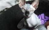 DSCF5060.JPG