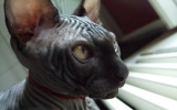 DSCF5295.JPG