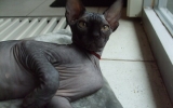 DSCF5317.JPG
