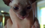 DSCF5532.JPG