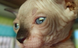 DSCF5553.JPG