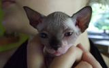 DSCF5562.JPG