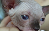 DSCF5570.JPG