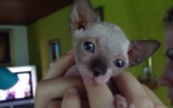 DSCF5576.JPG