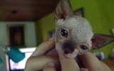 DSCF5578.JPG