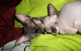DSCF5693.JPG