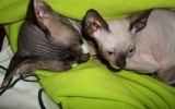 DSCF5698.JPG