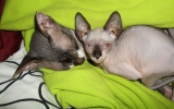 DSCF5699.JPG