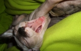 DSCF5701.JPG