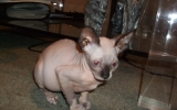 DSCF5717.JPG