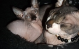 DSCF5731.jpg
