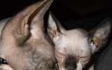 DSCF5744.jpg