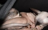 DSCF5795.JPG