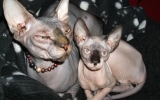 DSCF5819.JPG