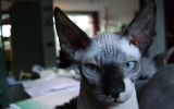 DSCF5826.JPG