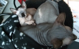 DSCF5833.JPG